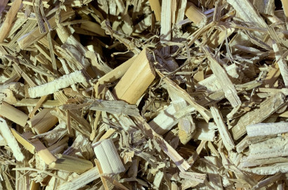 Paillage biologique en miscanthus